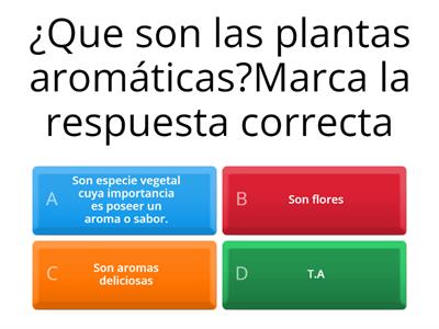 LAS PLANTAS AROMATICAS 