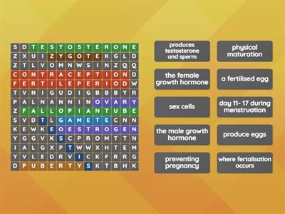 Reproduction Wordsearch 
