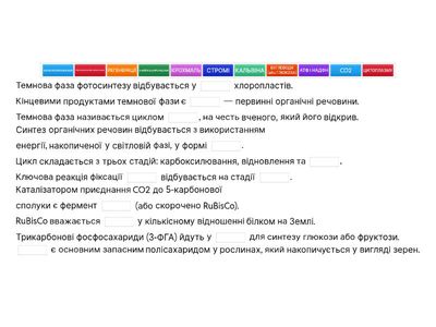 Фотосинтез. Темнова фаза