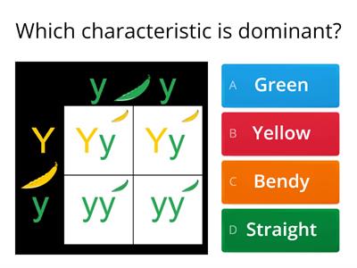 Genetic Crosses Quiz