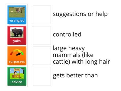 Macca's Makeover vocabulary