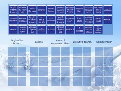 Three Branches of Government