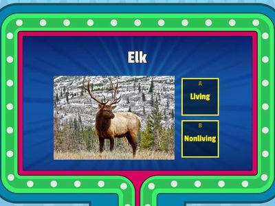 living and nonliving