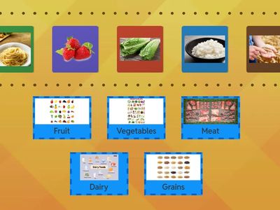 T4 - PP - Oral Language - Food Group Sorting