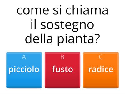 piante, foglie, fiori