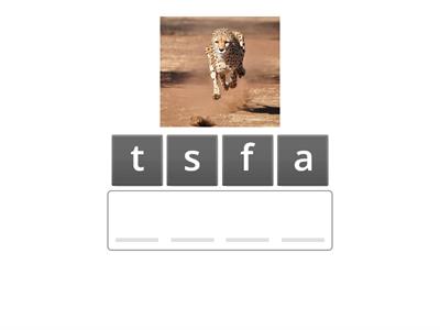 CVC Blending and Building