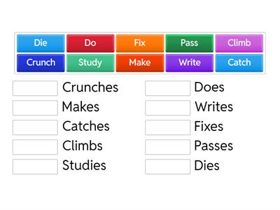 Rules in Presen Simple Verbs (Third Person)