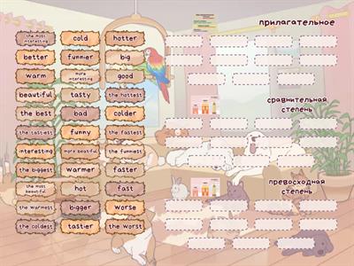 Degrees of comparison 