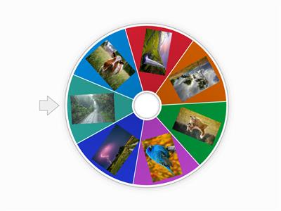 Шешен порно видео