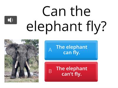 Can or can't 6th  grade