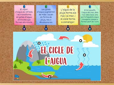 El cicle de l'aigua