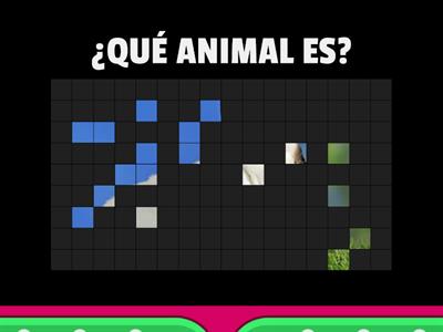 ANIMALES DE LA GRANJA