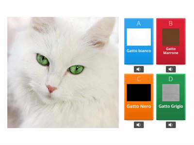 Gatto .......