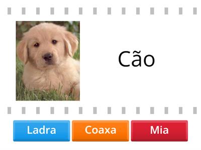 As vozes dos animais