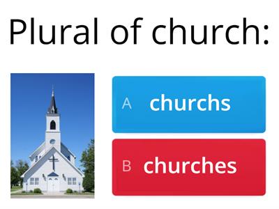 Grammar (A1) Plural Practice