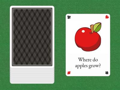 Grade 1 Portfolio (Skills)