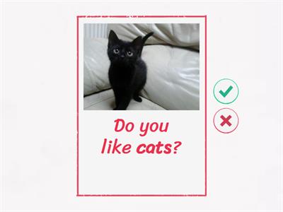 SO Starter unit 9 object pronouns