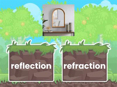 Reflection and Refraction 