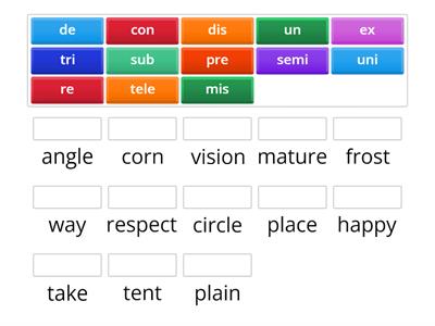 Prefix root word matching activity