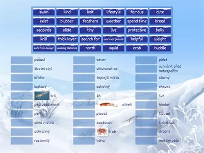 penguins canva