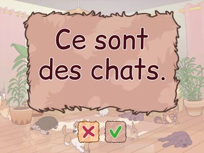 A1: c'est / ce sont + art. indéfini