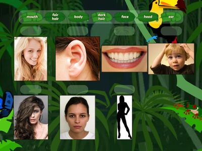 Body parts, Starlight 3