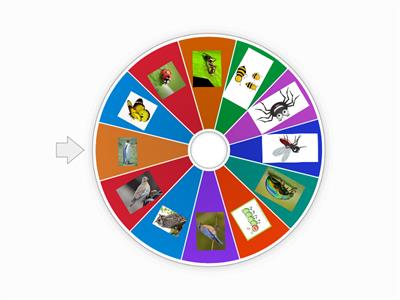 Denumiti in limba engleza