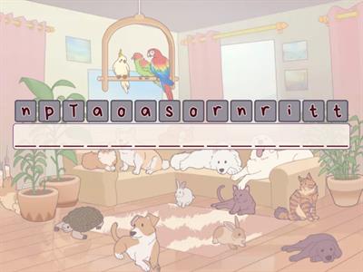 Spell Bee Final Round .