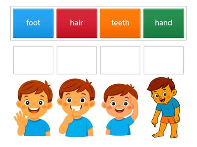 body parts 2  hair hand teeth foot    