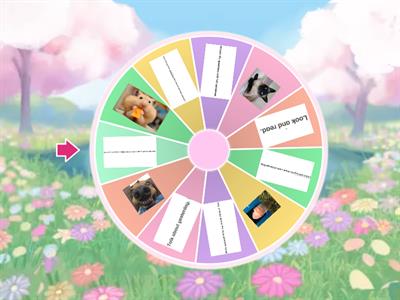  2 digit numbers animals HOME