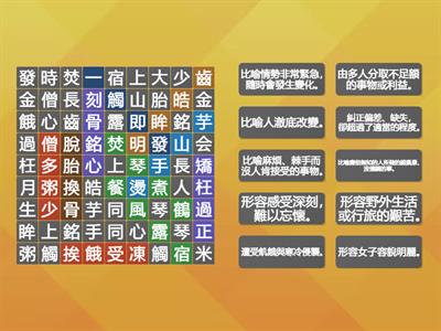 南一國小國語4上L02成語大搜查