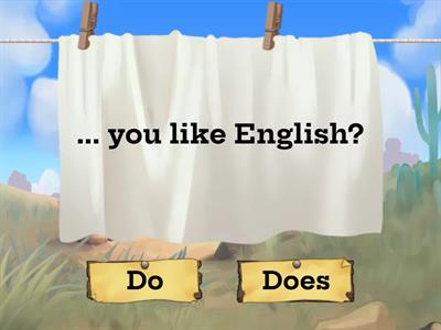 Do / Does