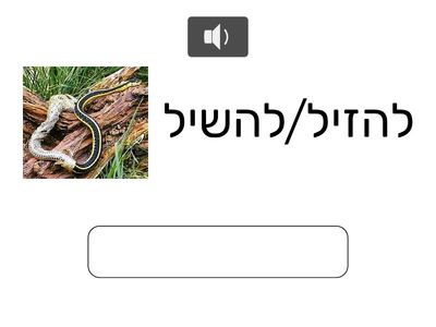 IRV 1B  Type the verb