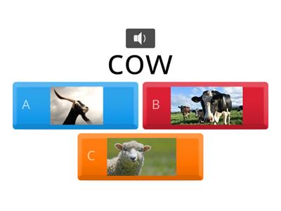 vocabulary letter C D practice