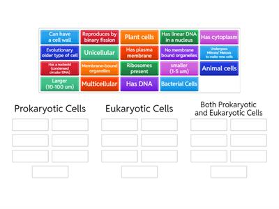 Prokaryotic vs. Eukaryotic