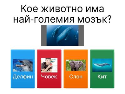 Въпроси за животни!