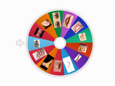 Body parts wheel