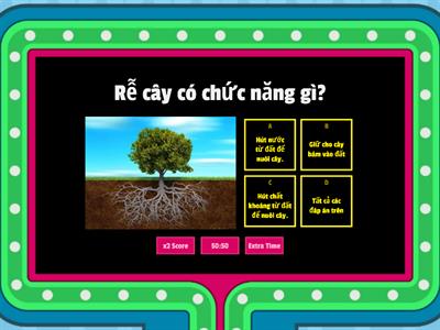 U4. Game "Thực vật"