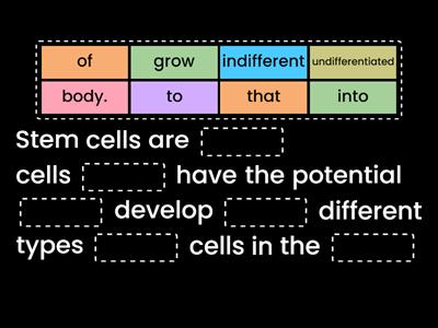 STEM CELLS (gaps)