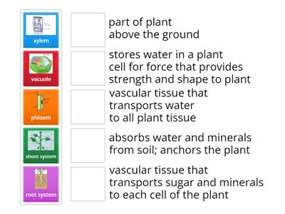 reteach/recovery-plant systems