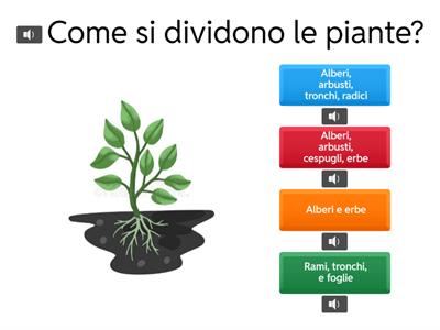 Quiz sulle piante 3A