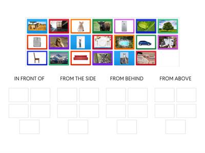 POINTS OF VIEW - PRIMARY SCHOOL