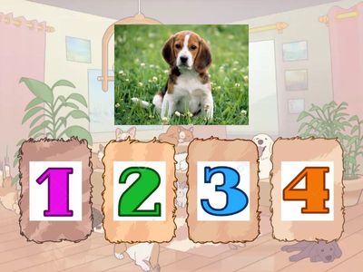 Kutya-macsak barátság - Hány tapsos szó?