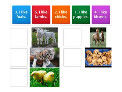 Incredible English 1 Unit 6 I like baby animals