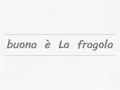 Riordina le frasi 