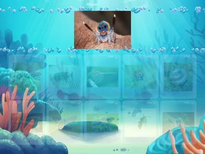 Identical Matching Bugs