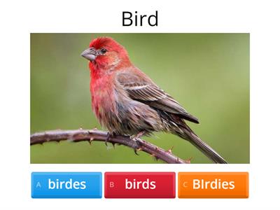 SINGLULAR AND PLURAL NOUNS (ANIMALS)