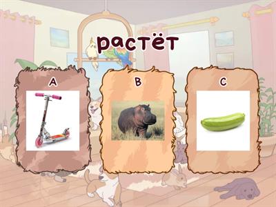 Слоговая структура 7 класс