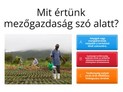 Mezőgazdaság