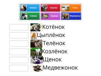 Найди маму для детёнышей